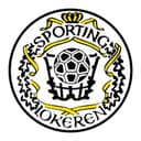 Logo KSC Lokeren-Temse