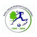 Logo Royal Ixelles SC